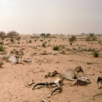 Drought